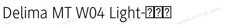Delima MT W04 Light字体转换